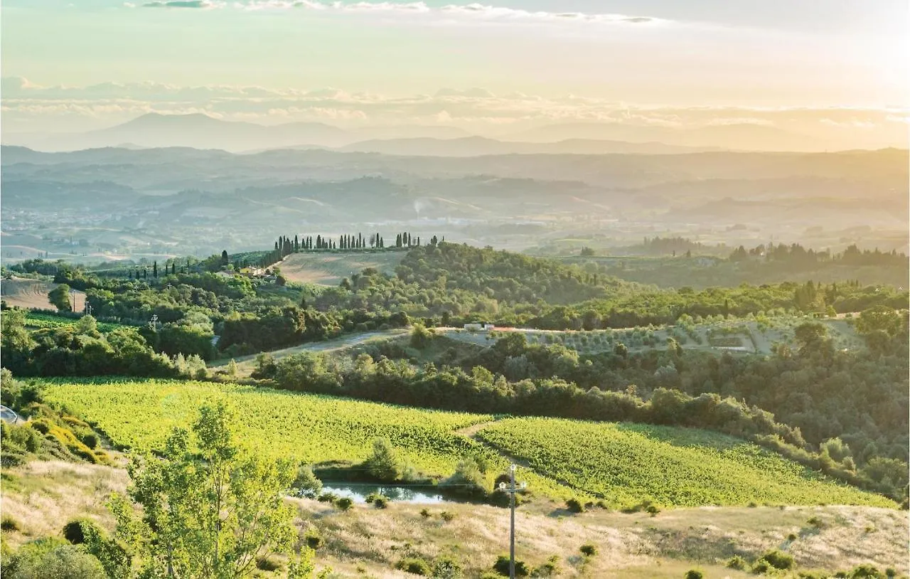 Vincenzo-Podere Moricci Montaione